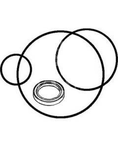 Brake Disc Seal Kit To Fit International/CaseIH® – New (Aftermarket)